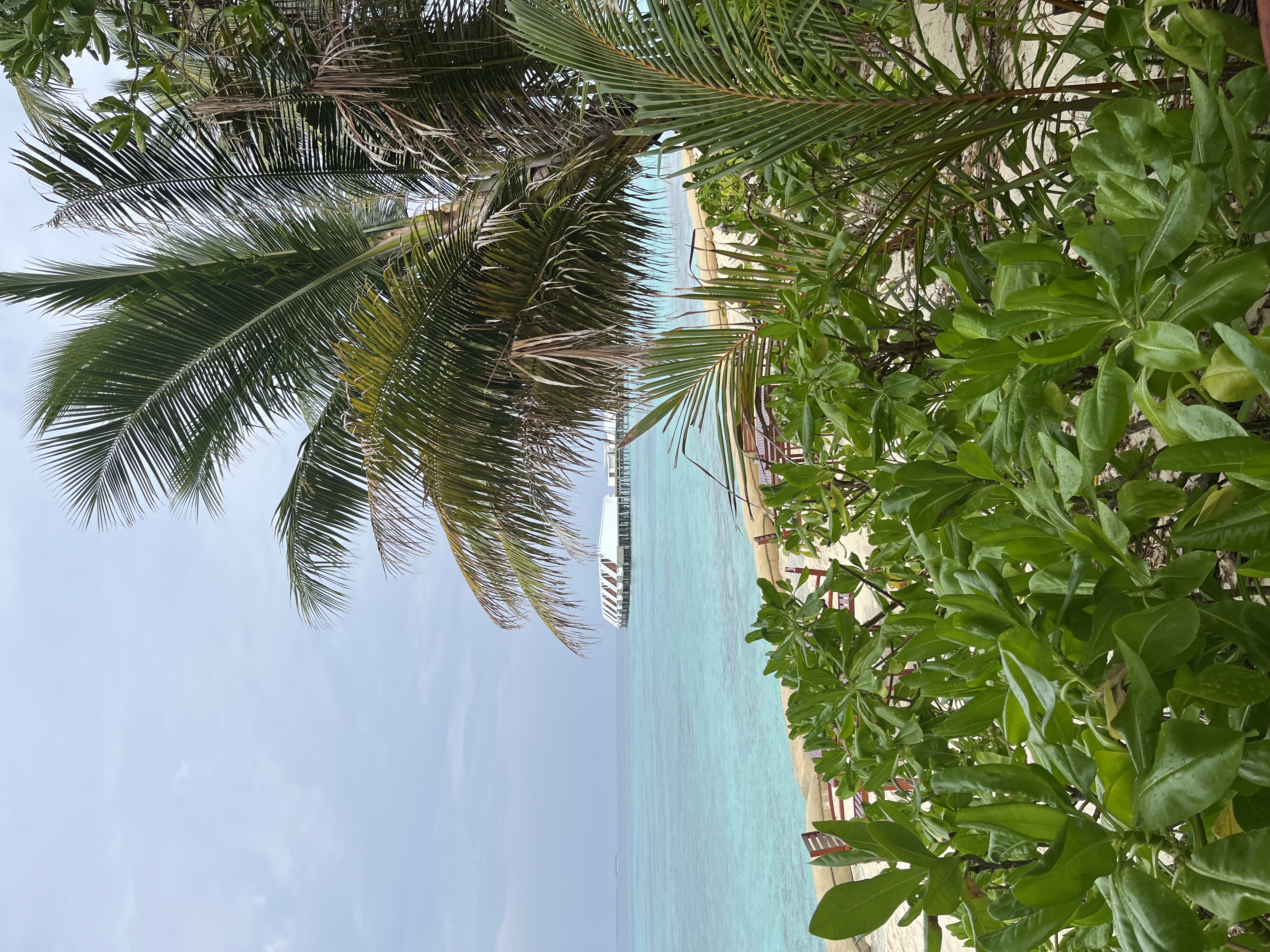 Robinson Club Maldives – Ein Traumurlaub, der bleibt