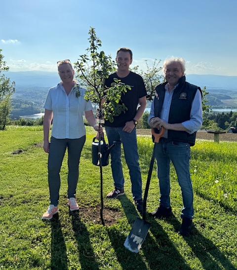 Plant a Tree