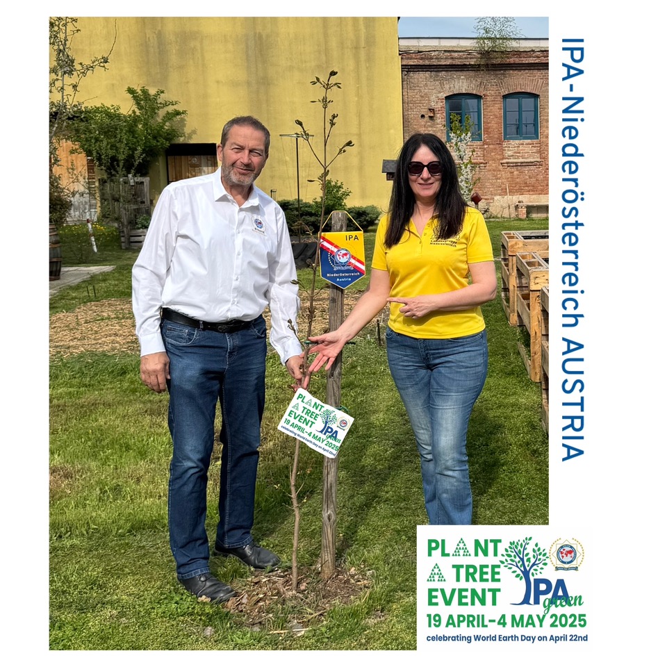 Plant a Tree